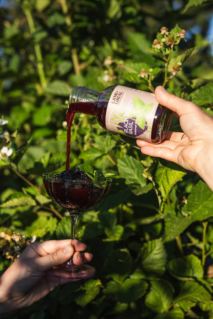 Land + Local - Blackberry Basil Shrub - 8oz