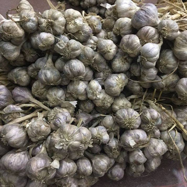 Burlap &amp; Barrel - Purple Stripe Garlic - Single Origin Spice &amp; Seasoning: 3.0 oz glass jar