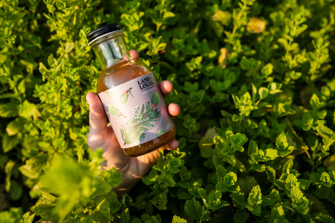 Land + Local - Forest Floor Shrub (NA Mojito mix) - 8oz