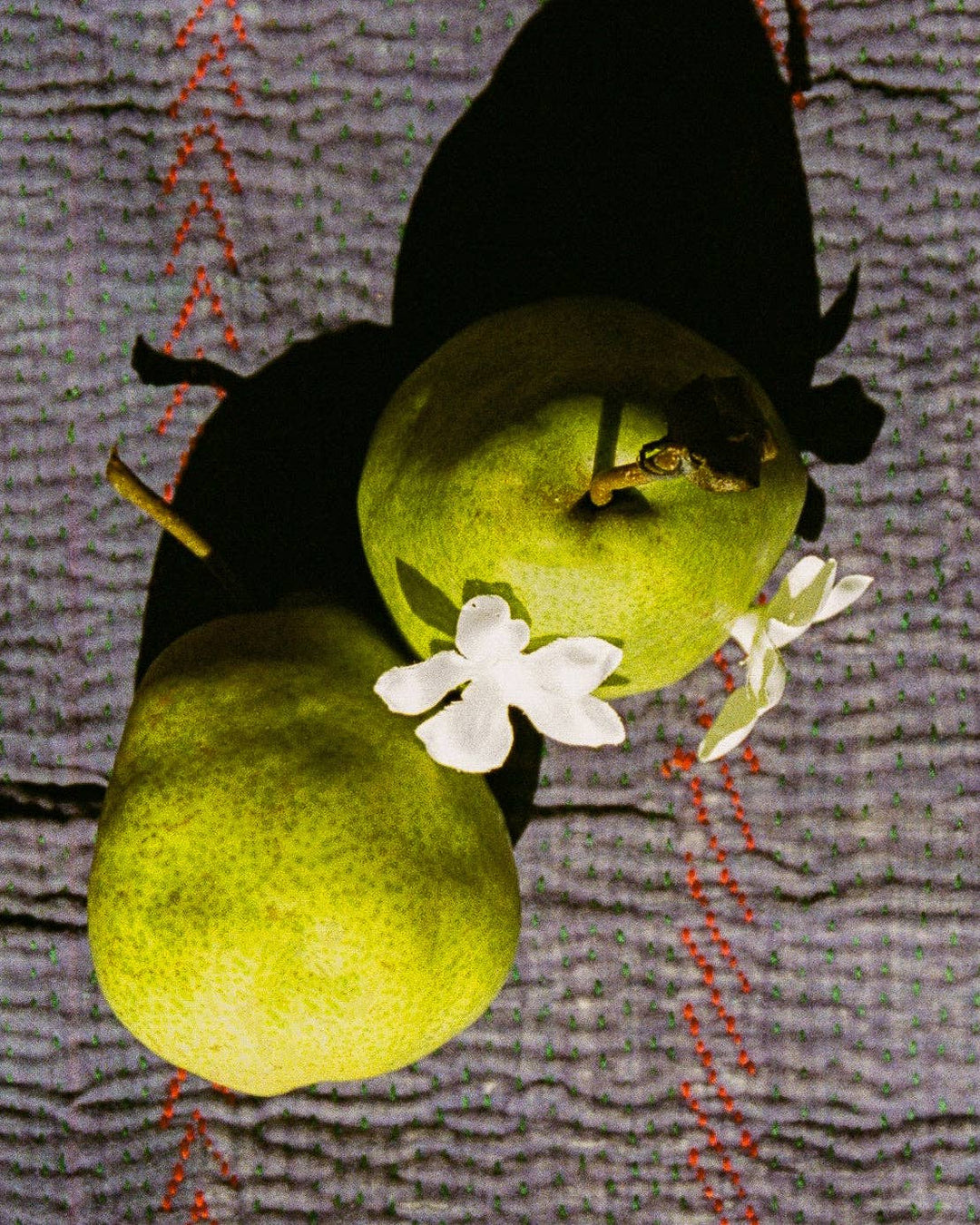 Raazi Tea - Jasmine Green Tea