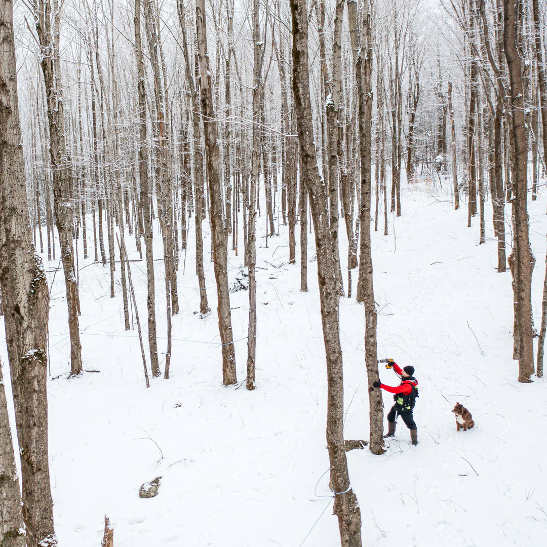 Republic Of Vermont - Organic Amber Maple Syrup