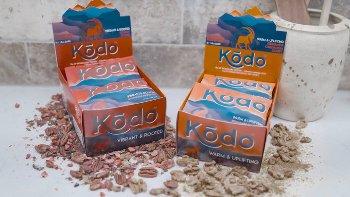 Kōdo - Warm &amp; Uplifting - Bioavailable Protein Bar