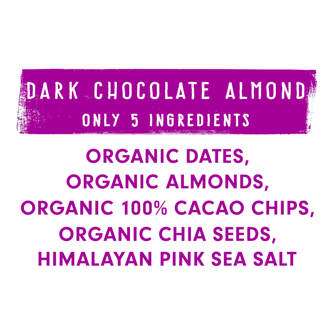 Jonesbar - JONESBAR Dark Chocolate Almond Organic Fruit &amp; Nut Bar Vegan