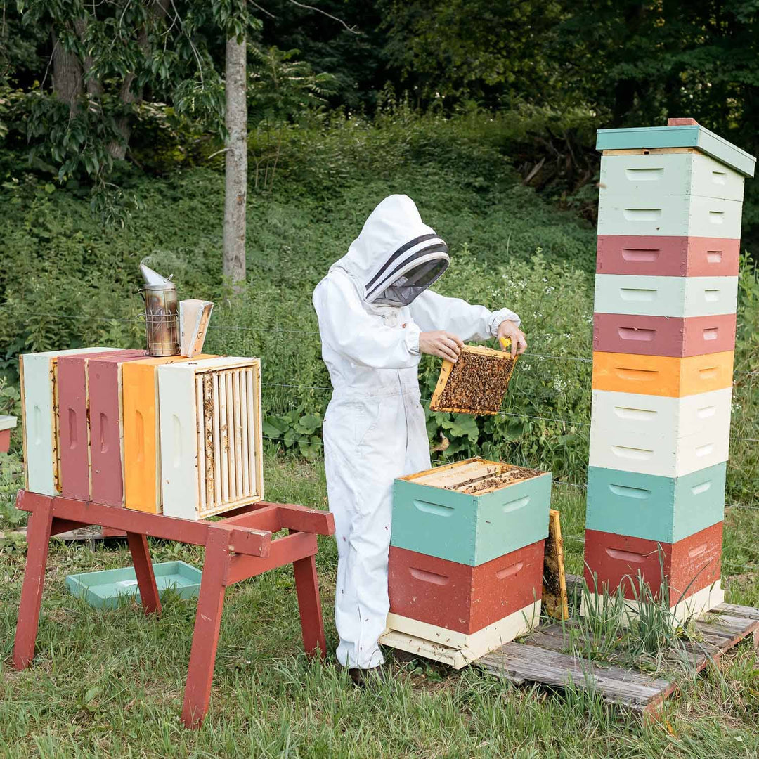 Republic Of Vermont - Vermont Raw Honey