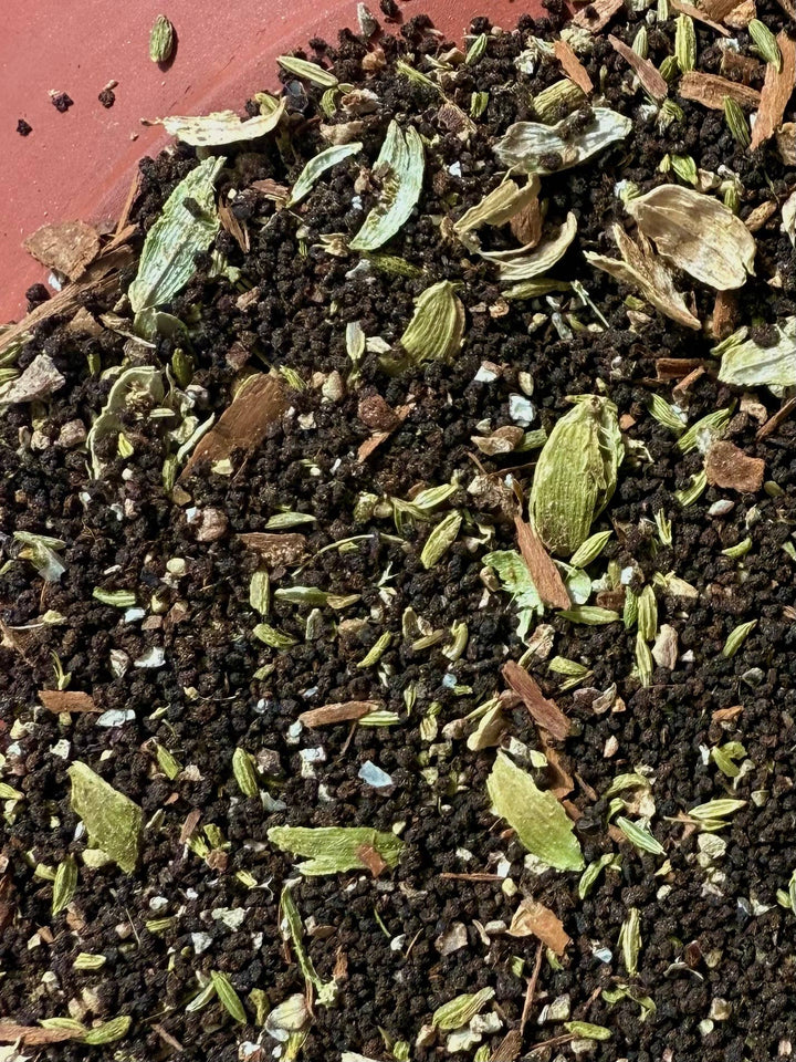 Sourcery - Masala Chai