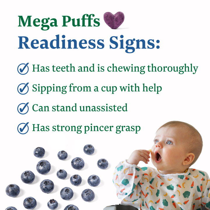 FoodNerd Inc. - Blue Mega Puffs