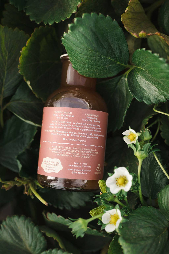 Land + Local - Strawberry Snap Pea Seasonal Shrub 8oz