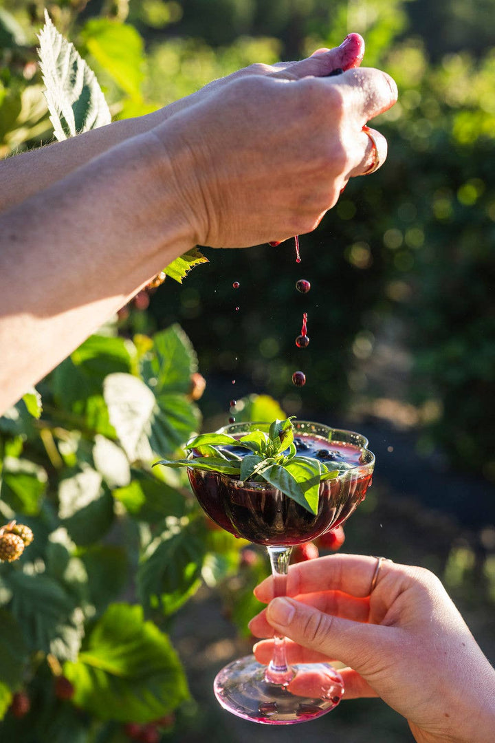 Land + Local - Blackberry Basil Shrub - 8oz