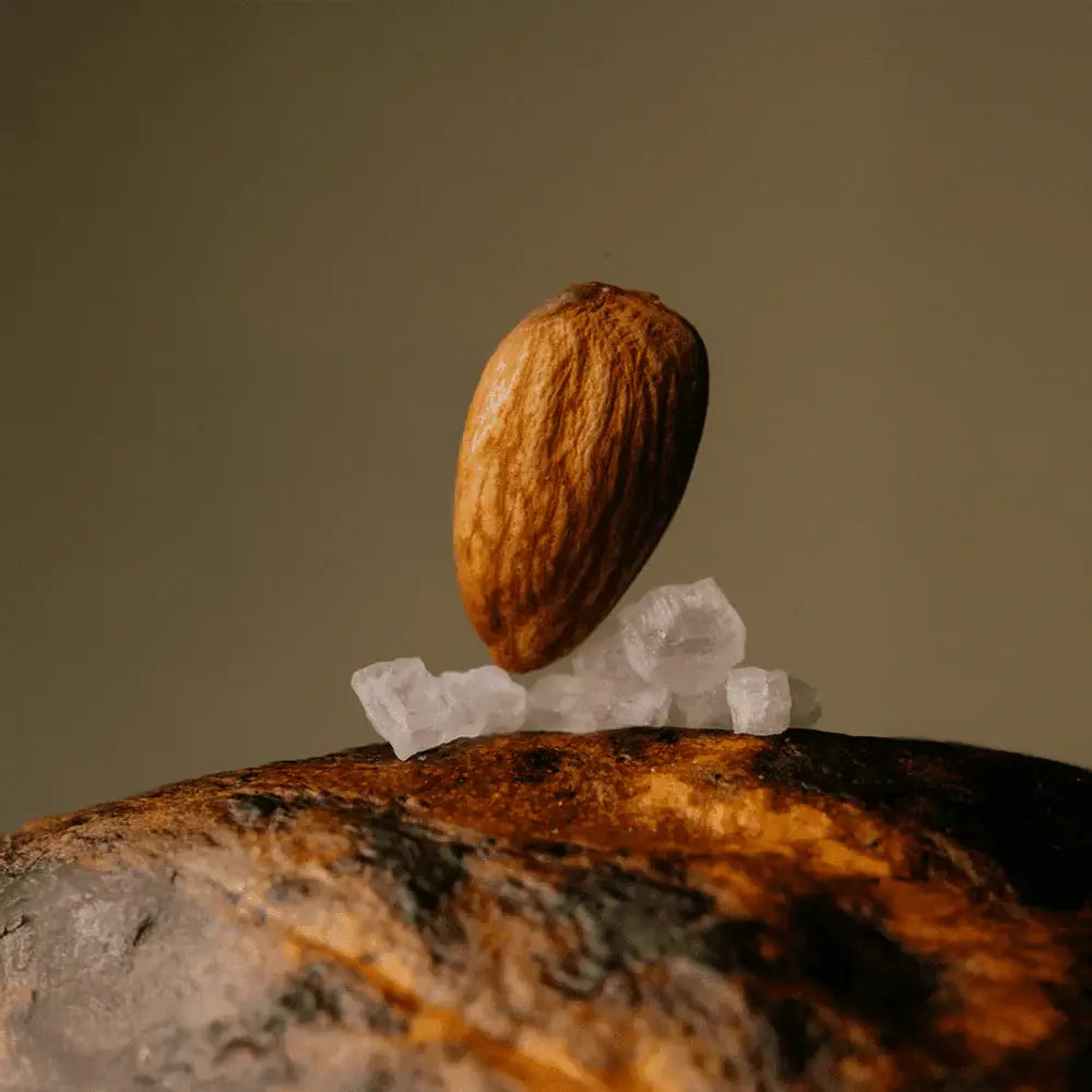 The Conscious Bar - Almond Sea Salt