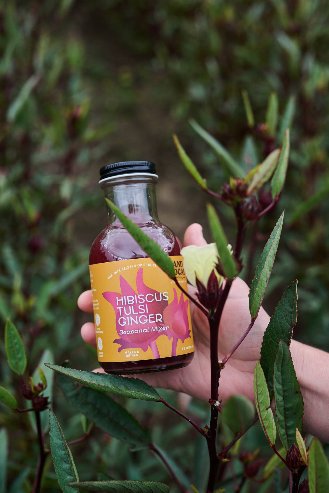 Land + Local - Hibiscus Ginger Seasonal Mixer 8oz