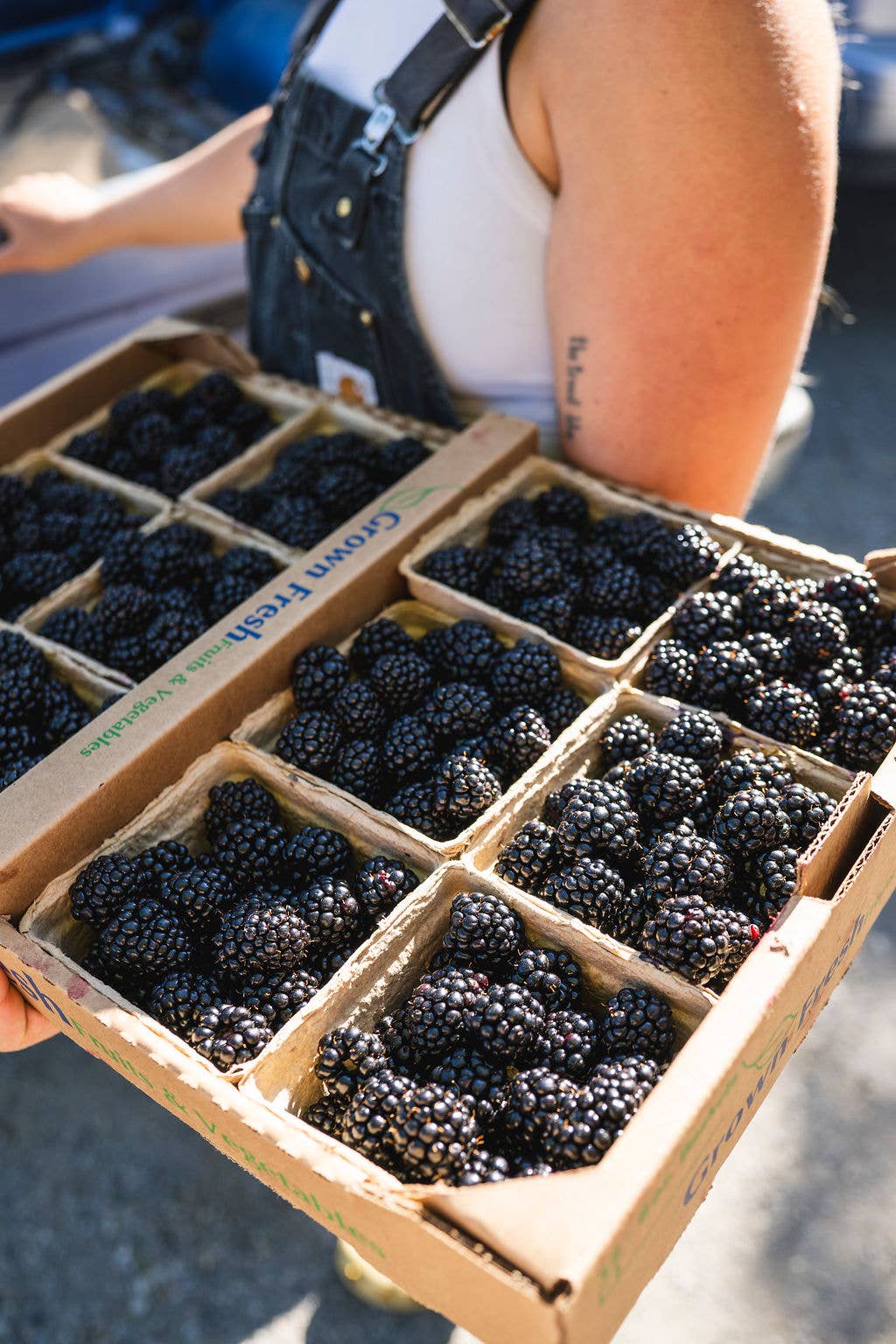 Land + Local - Blackberry Basil Shrub - 8oz