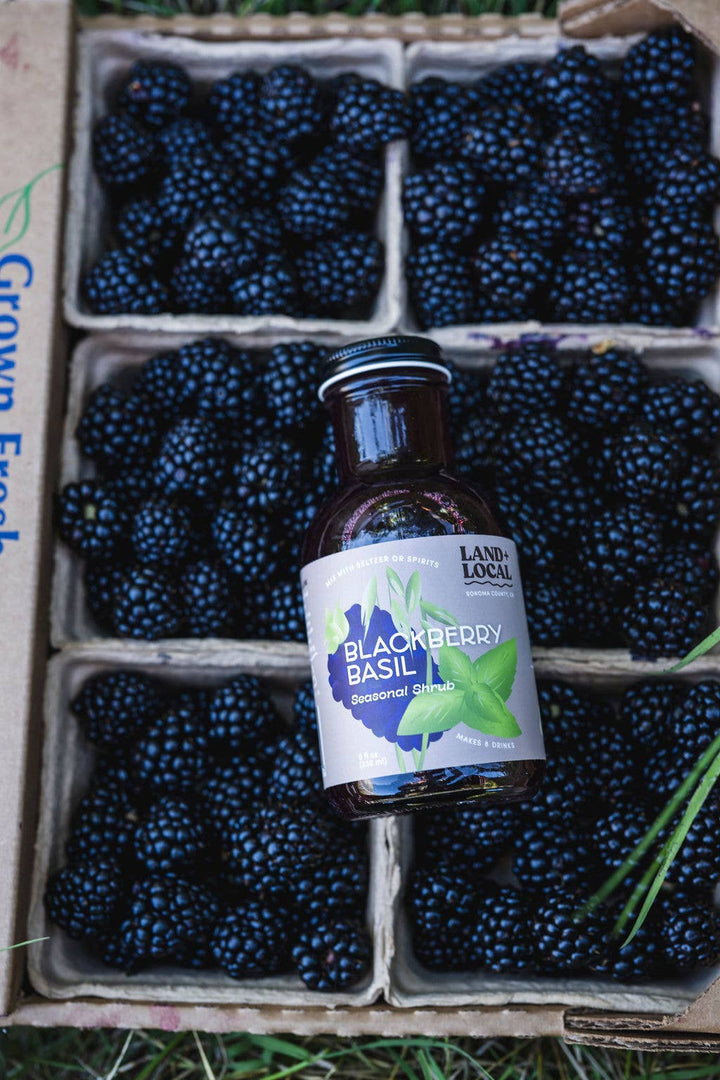 Land + Local - Blackberry Basil Shrub - 8oz
