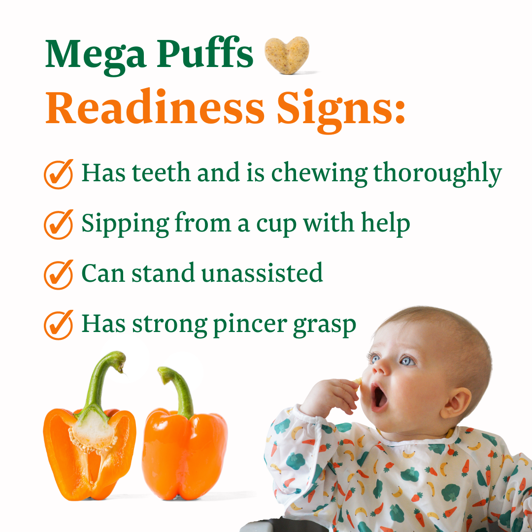 FoodNerd Inc. - Orange Mega Puffs